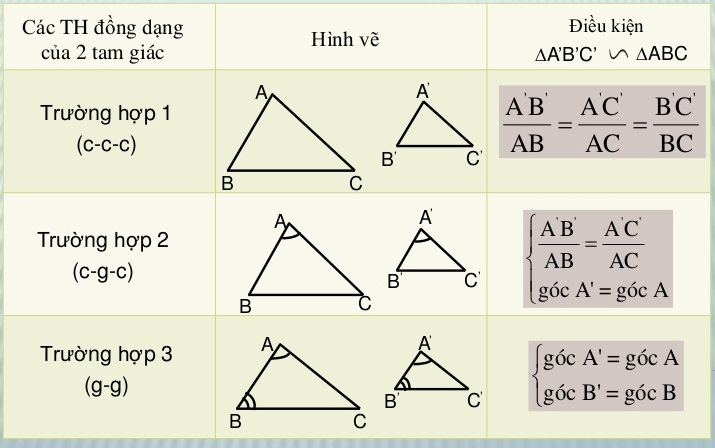 Cho ví dụ về tình huống tam giác đồng dạng vô thực tiễn.
