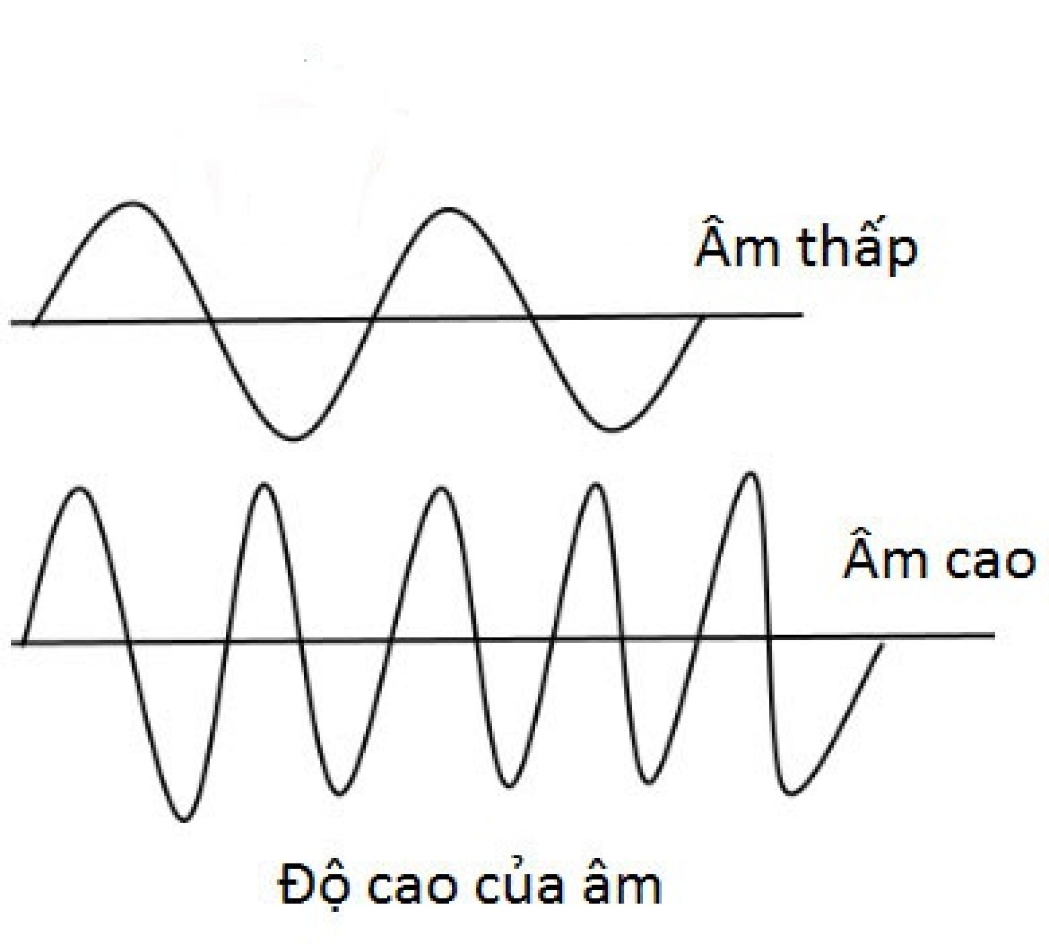 Sound studies. High Pitch Sound. Low High Pitch. High Pitch Sound example. High Pitch Waves.