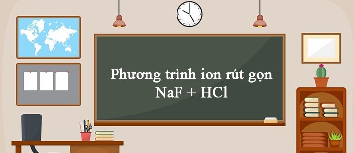phuong trinh ion rut gon