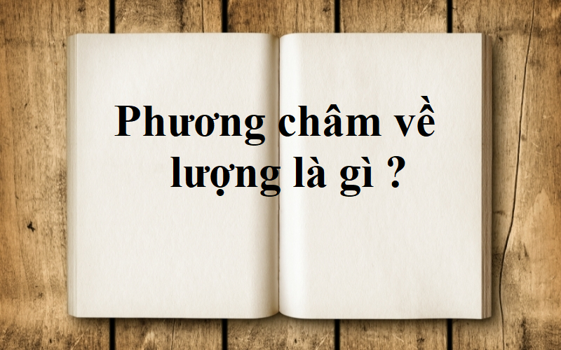 phuong cham ve luong la gi
