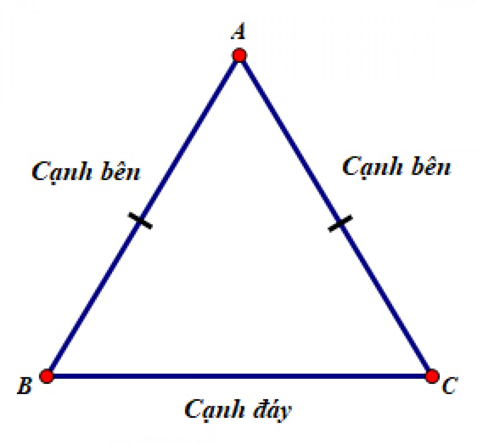 Hình Tam Giác Là Gì Phân Loại Cách Xác định đáy Và Chiều Cao Tam Giác 