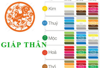 sinh nam 2004 hop mau nao