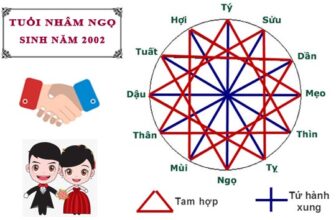 tuoi nham ngo 2002 hop tuoi nao