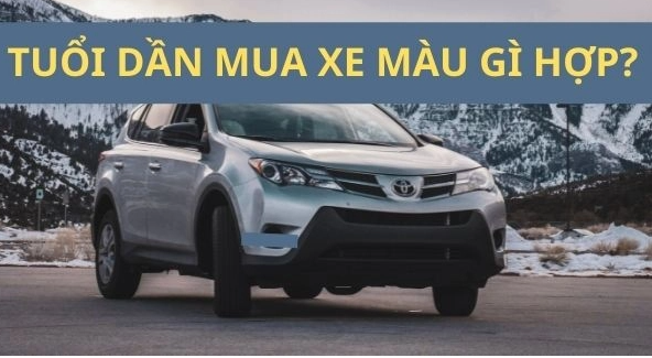 nguoi tuoi dan mua xe mau gi