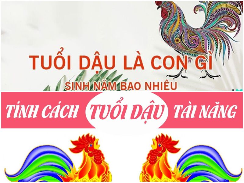 nguoi tuoi dau sinh nam bao nhieu