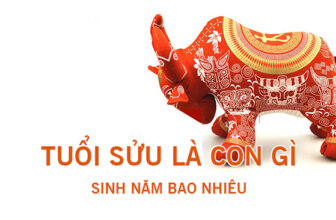 nguoi tuoi suu sinh nam bao nhieu