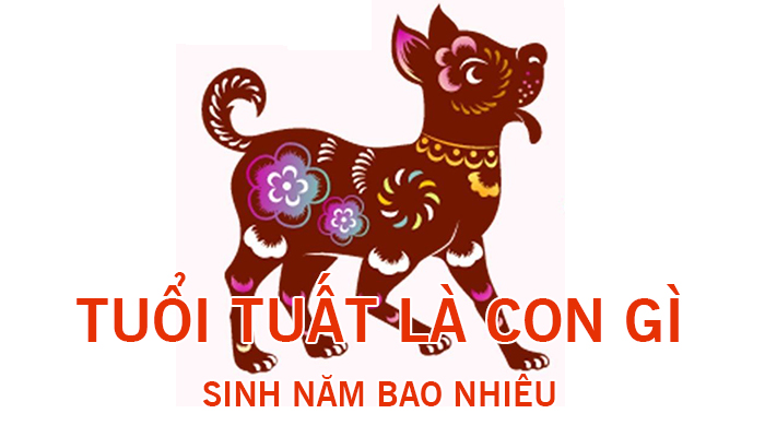 nguoi tuoi tuat sinh nam bao nhieu