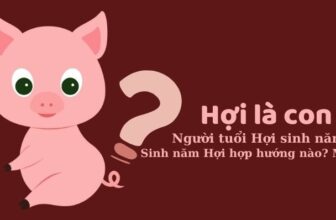 tuoi hoi sinh nam bao nhieu