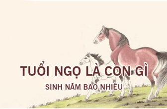 tuoi ngo sinh nam bao nhieu