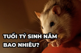 tuoi ty sinh nam bao nhieu