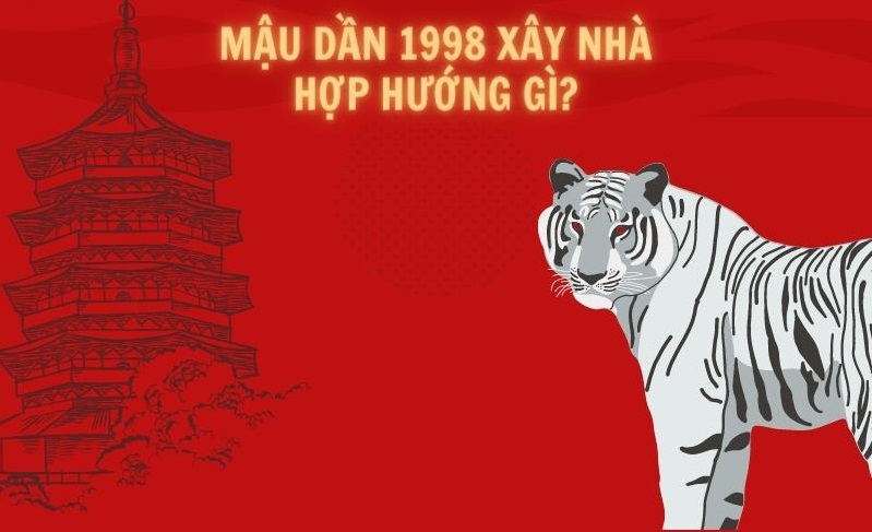 mau dan 1998 hop nha huong nao