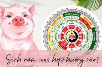 sinh nam 1995 hop huong nao