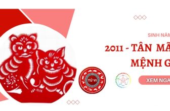 sinh nam 2011 menh gi