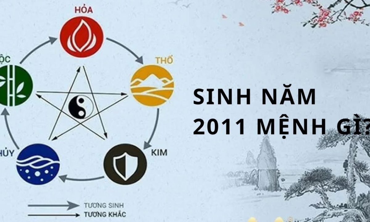 sinh nam 2011 tan mao menh gi