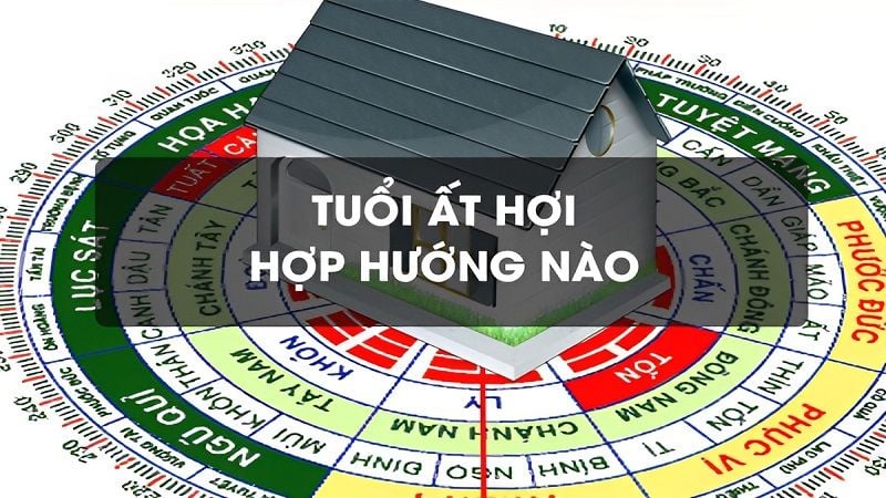 tuoi at hoi 1995 hop huong nao