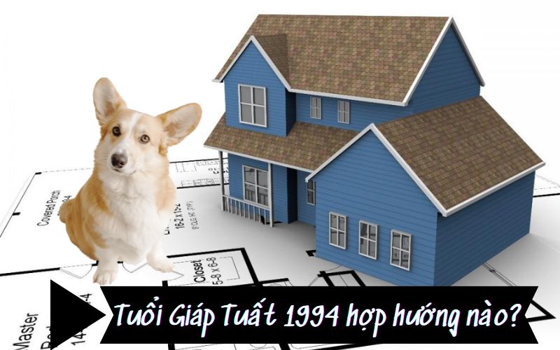 tuoi giap tuat 1994 hop xay nha huong nao