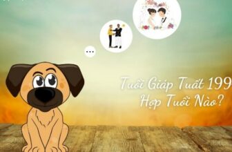 tuoi giap tuat sinh nam 1994 hop tuoi nao