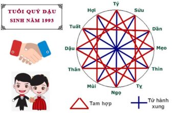 tuoi quy dau