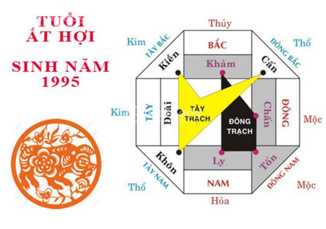 tuoi at hoi sinh nam 1995 hop huong nao