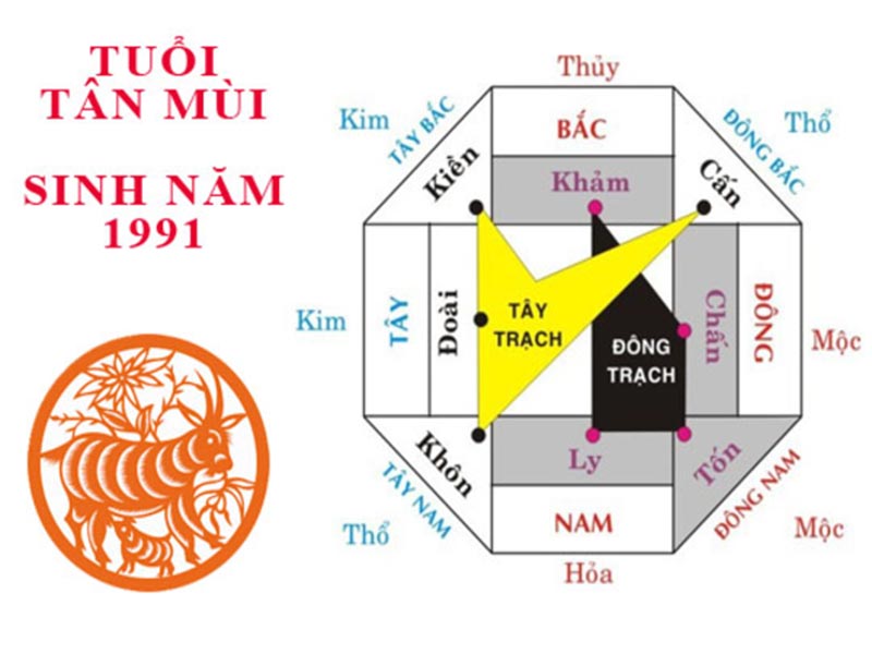 tuoi tan mui xay nha huong nao