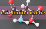 Axit Aminoaxetic là gì ? Axit Aminoaxetic phản ứng với chất nào ? Công thức là gì ?