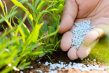 Supephotphat khép là gì ? Công thức là gì ? Thành phần chính là gì ?