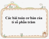 Các bài toán cơ bản của tỉ số phần trăm ? Các dạng bài tỉ số phần trăm Toán lớp 5
