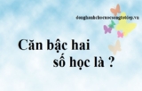 Căn bậc hai số học và Căn bậc hai là gì ? Tổng hợp lý thuyết cần nhớ – Toán Lớp 9