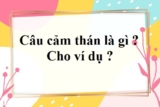 Câu cảm thán là gì ? Ví dụ ? Đặc điểm và chức năng ? Tiếng Việt lớp 4, lớp 7, lớp 8