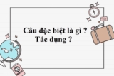 Câu đặc biệt là gì ? Cho ví dụ mình họa ? Đặc điểm ? Tác dụng ? Ngữ Văn Lớp 7