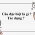 Chuyển động thẳng biến đổi đều ? Những đặc điểm, công thức thường sử dụng