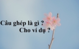 Câu ghép là gì ? Cho ví dụ ? Cách nối câu ghép ? Tác dụng ? Lớp 5, 6, 7, 8, 9
