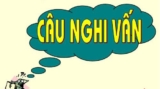 Câu nghi vấn là gì ? Cho ví dụ ? Đặc điểm, Chức năng, Tác dụng ? Lớp 7, Lớp 8