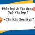 Giải phương trình bậc nhất 3 ẩn nhanh chóng và các dạng bài tập thường gặp