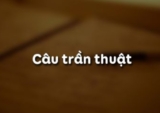 Câu trần thuật đơn là gì ? Lấy ví dụ ? Phân loại, đặc điểm, chức năng ? Ngữ Văn 6