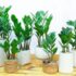 Phép chia số đo thời gian cho một số tự nhiên ? Cách chia và bài tập Toán lớp 5