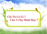 Chỉ từ là gì ? Vai trò và cách sử dụng chỉ từ ? Kèm ví dụ minh họa – Ngữ Văn Lớp 6