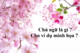 Chủ ngữ là gì ? Cho ví dụ minh họa ? Bài tập ? Tiếng Việt lớp 4
