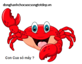 Con Cua là số mấy ? Mơ thấy con Cua là điềm gì ? Là điềm Lành hay Dữ ?