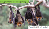 Con Dơi là số mấy ? Nằm mơ thấy Con Dơi là điềm gì ? Đánh con gì ?