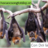 Công Thức Tính Vận Tốc, Quãng Đường, Thời Gian Toán Lớp 5