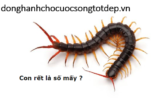 Con Rết là số mấy ? Mơ thấy Con Rết đánh con gì ? Là điềm Tốt hay Xấu ?