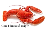 Con Tôm là số mấy ? Nằm mơ thấy con Tôm đánh con số gì ? Có ý nghĩa gì ?