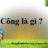 Con Gián là số mấy ? Mơ thấy Con Gián là điềm báo gì ? Điềm Tốt hay Xấu ?