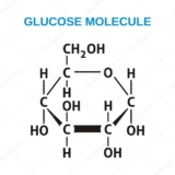 Công thức hóa học của đường Saccharose, Glucose, Fructose……