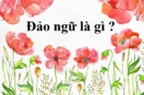 Đảo ngữ là gì ? Cho ví dụ ? Co tác dụng gì ? Bài tập thực hành Ngữ Văn ?