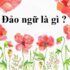 Nghĩa chuyển là gì ? Ví dụ minh họa ? Lý thuyết Tiếng Việt Lớp 5