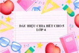Dấu hiệu chia hết cho 5 là gì ? Lý thuyết và bài tập luyện tập Toán lớp 4