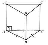 Diện tích xung quanh hình lăng trụ đứng tam giác, tứ giác – Toán lớp 8