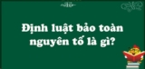 Định luật bảo toàn nguyên tố là gì ? Hóa học lớp 8, lớp 9 ? Công thức và bài tập